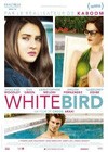White Bird In A Blizzard (2013)4.jpg